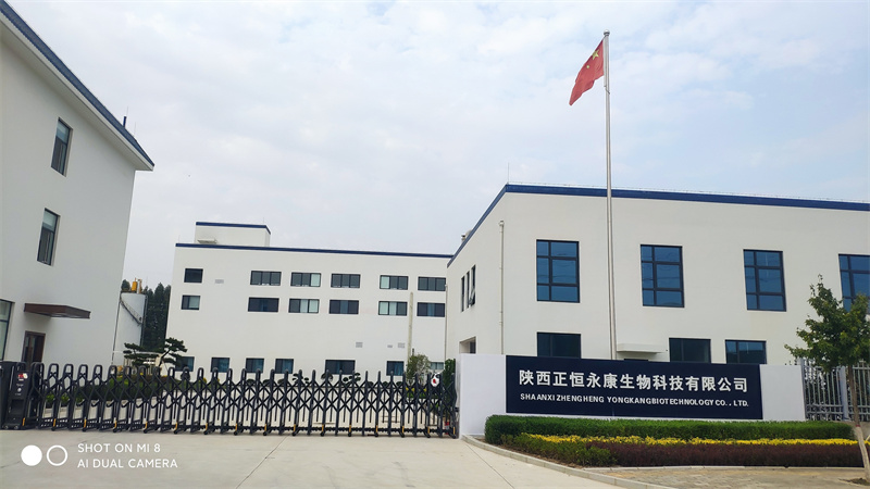 陜西正恒永康生物科技保健品中藥前處理及提取車間生產(chǎn)線建設(shè)項目